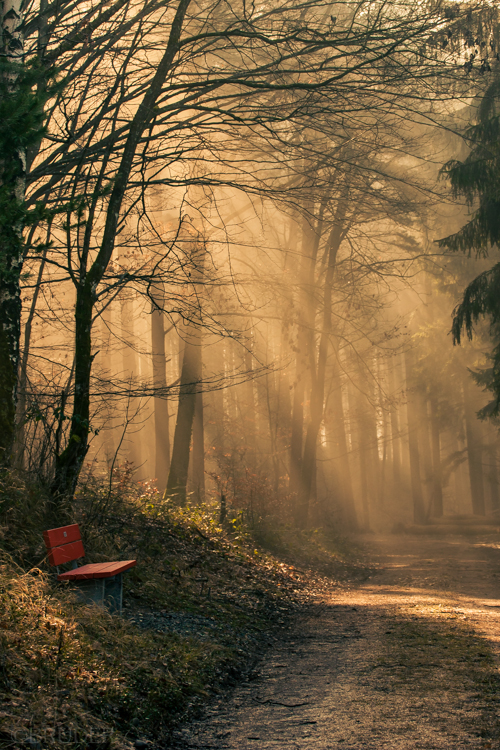 sunrays and bench