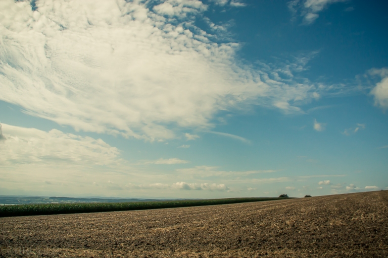 field and sky_3